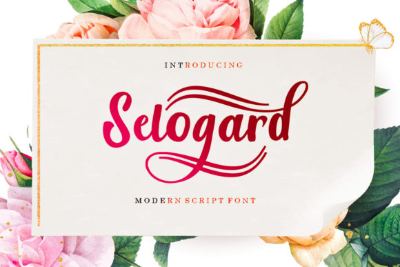 Selogard: A Designer's Honest Review for Real-World Projects
